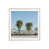 Silver Single Framed
