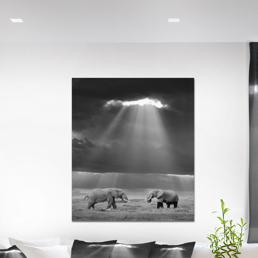 " Elephant In The Wild " World Menagerie