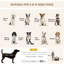 Collapsible Pet Carrier with 3 Doors-89594863-74777170