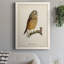 Maddock French Owls II-88378309-88378310