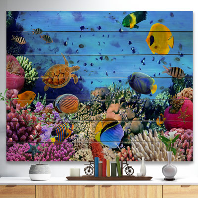 Coral Reef Coral Colony - impression sans cadre sur bois