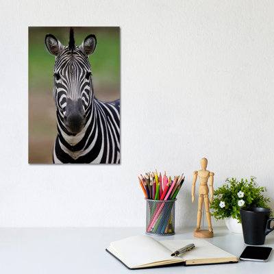 " Zebra III " by Goran Anastasovski