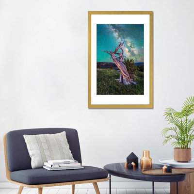 Milky Way Night Sky Over Antique Bristlecone Pine In Colorado - reproduction d'art mural - papier d'art encadré