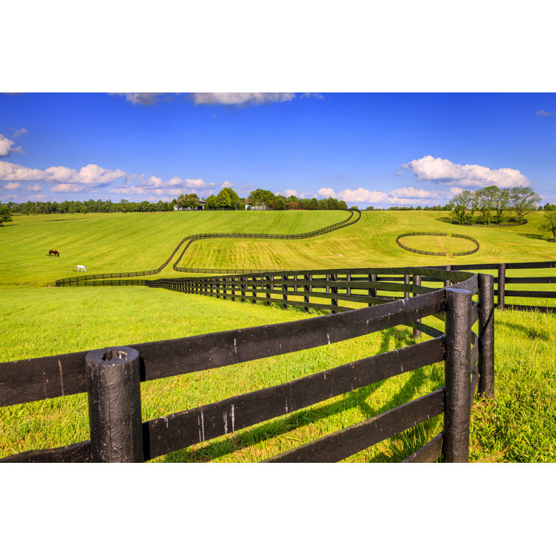 Horse Farm Fences - Wrapped Canvas Print, 30cm H x 46cm W x 3.8cm D