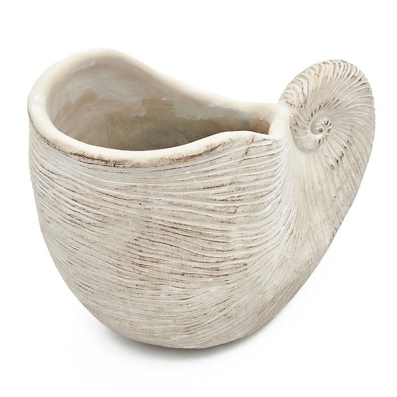 Textured Beige Sand And Cement Shell Planter Suitable For Trailing Plants Creating A Relaxed Zone In Your Home 11.5X6.7X7.7 Inches With Design Neutral Color Succulent Display Office