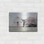 «Brownsville Patriot» par Lori Deiter-1116552117