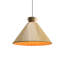 Conical 1 - Light Pendant-1248487579