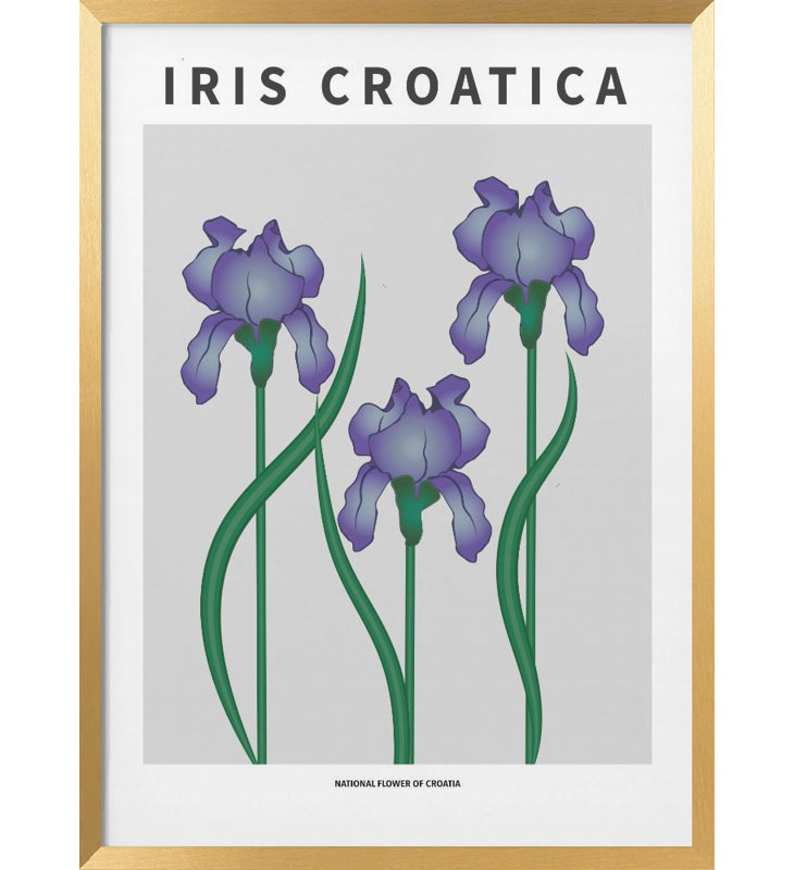 "Iris croate", art mural texturé encadré, Or, H 14 po x l 10 po