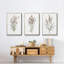 "Dicat Botanical I", reproduction sur toile 3 pièces-91890853-91890848