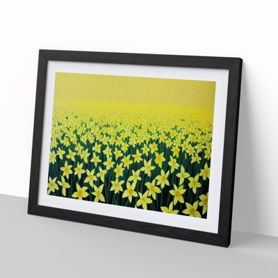 Daffodil Field - Framed Print