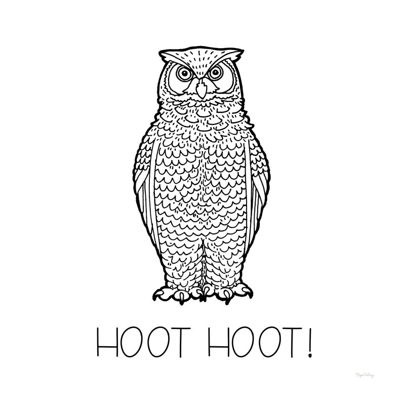 Color The Forest V Hoot Hoot by Elyse DeNeige - Wrapped Canvas Print, 30cm H x 30cm W x 3.8cm D