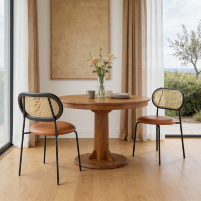 Bowyer PU Upholstered Dining Side Chair with Cane Rattan Back
