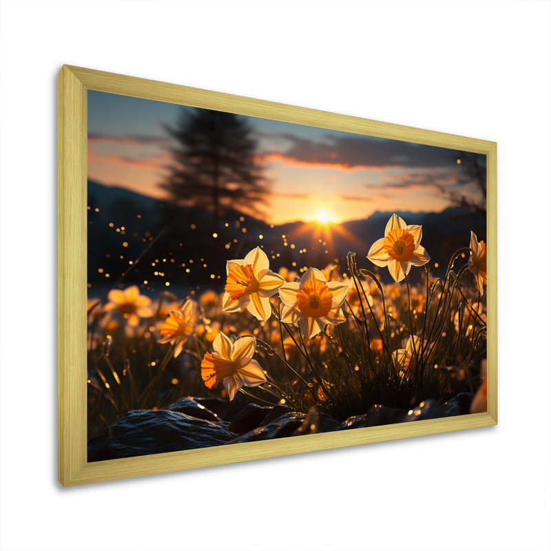 Daffodils Field Sunset I - impression, Cadre doré à une seule photo, H 24 po x l 32 po x P 1 po