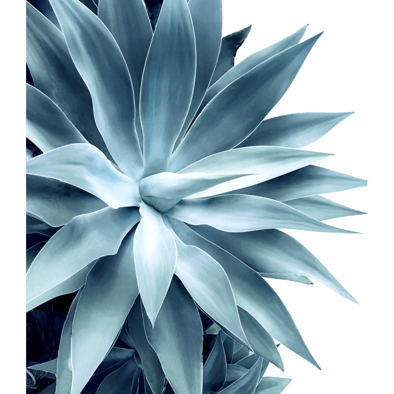 «Bursting Into Life Teal», impression sur toile tendue, H 36 po x l 24 po, Non, Toile tendue