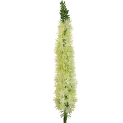 Arrangement de sonnette