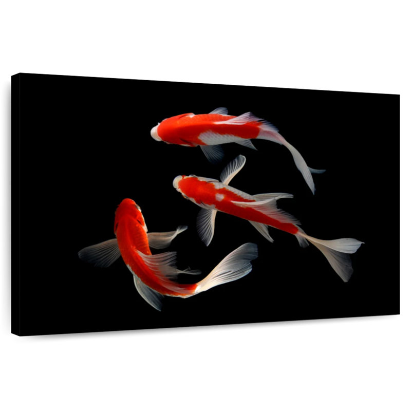 Brampt Koi Fish Trio, 34" H x 51" W