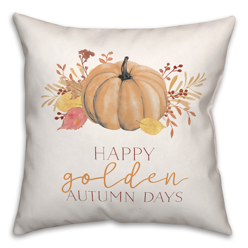 Throw Pillow, 20" H x 20" W