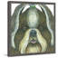 « shih tzu », reproduction d’art encadrée-21180330