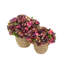 Fall Hydrangea Floral Arrangements-1898348177