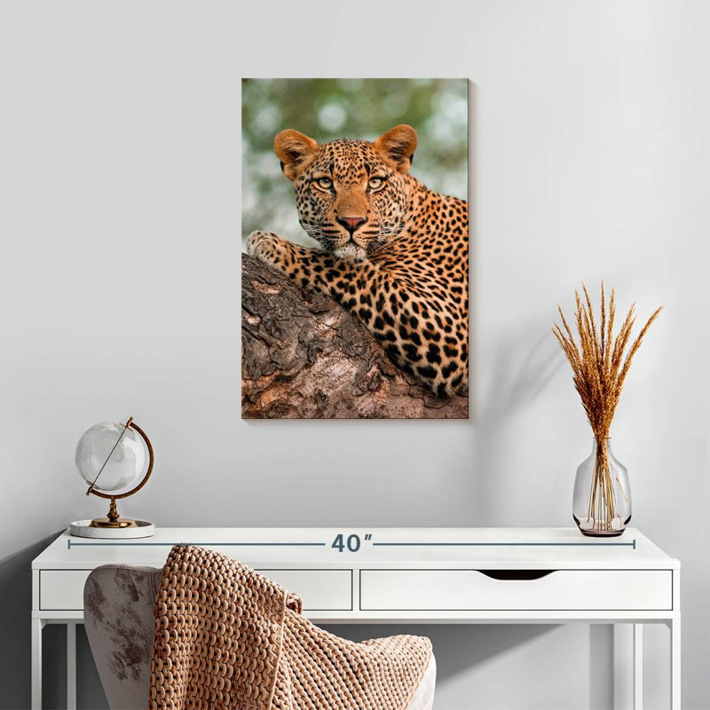 Brampt Striking Leopard, 24" H x 16" W