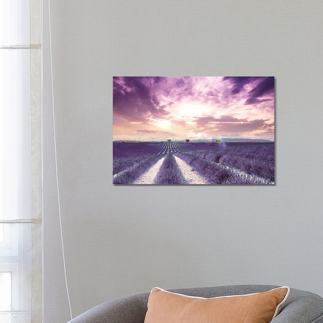 The Wonder Of Lavender Fields In South Of France, Valensole