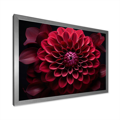 Majestic red dahlia - imprimé