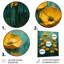 Jaune et bleu, soleil, bouton d'or, prairie III - Buttercups, art mural-484774132-484774133
