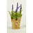 8" Artificial Lavender Plant in Pot