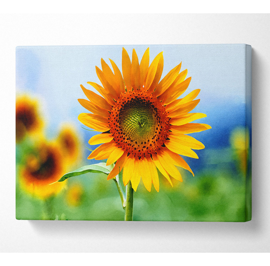 Morning Sunflower - Kunstdrucke auf Leinwand