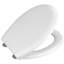 Troncoso Soft Close Elongated Toilet Seat