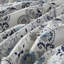 Ensemble d'édredon en coton 3 pièces - très grand / très grand bleu, imprimé botanique floral / coton imprimé très grand revers en coton, lavable à la machine, 2 taies décoratives assorties