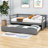 Demoraes Twin Size Wood Daybed with Trundle-1941296450
