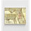 Floride, transport en commun et péninsule, chemin de fer 1882, bibliothèque, décoration murale pour chambre d'amis, décoration de salle de bain, art rupestre antique, carte de la Floride