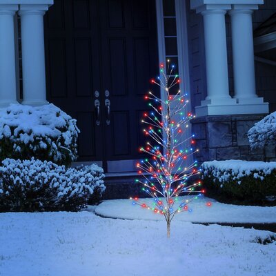 The Holiday Aisle® 5' Lighted Cedar Christmas Tree & Reviews | Wayfair
