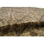 Wool Oriental Area Rug in Brown/Rust