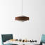 Bisi Single Light Iron Dimmable Pendant