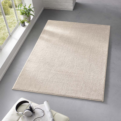 Alsfeld Hand Woven Area Rug