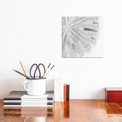 Florida Sand Dollar II by Philippe Hugonnard - Wrapped Canvas Gallery-Wrapped Canvas Giclée