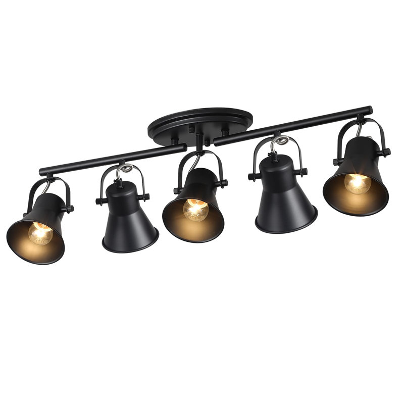 5-Light Black Track Lighting Kit - Industrial Adjustable Ceiling Light