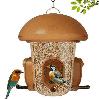 LONA Weatherproof Bird Feeder, Brown, 800ml
