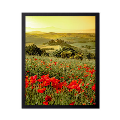 Poppy Flower