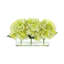 Hydrangeas Arranged in Clear Glass Vase-1541245381