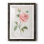 Grandiflora I - peinture encadrée-767280229-767280249