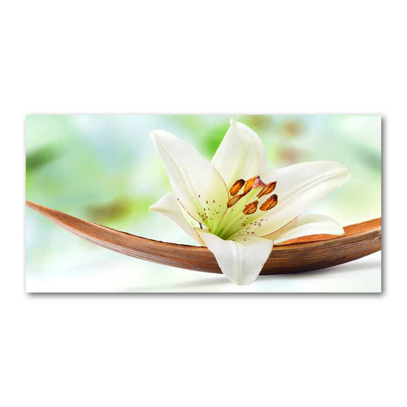 Lorana 50cm W x 100cm L Glass Peel and Stick Panel