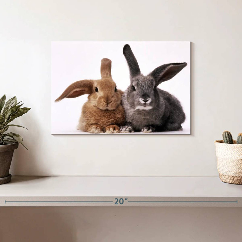 Lapins bruns et gris, H 8 po x l 12 po