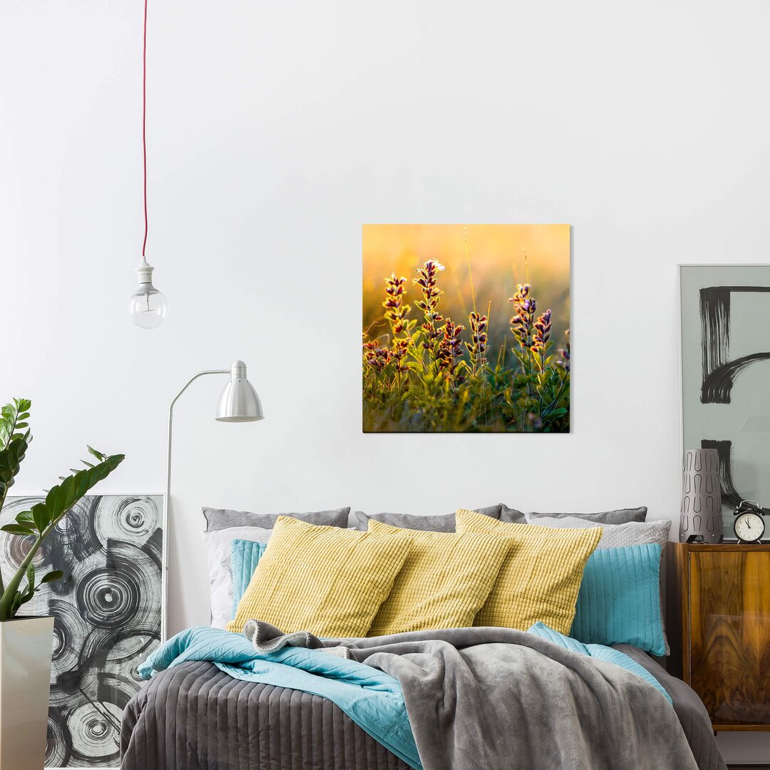 Leinwandbild Wildblumen und Gras