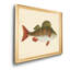 «Donovan Antique Fish I», cadre photo, impression sur toile-961319918-961319905