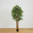 Fancy Style Bamboo Tree-574465451