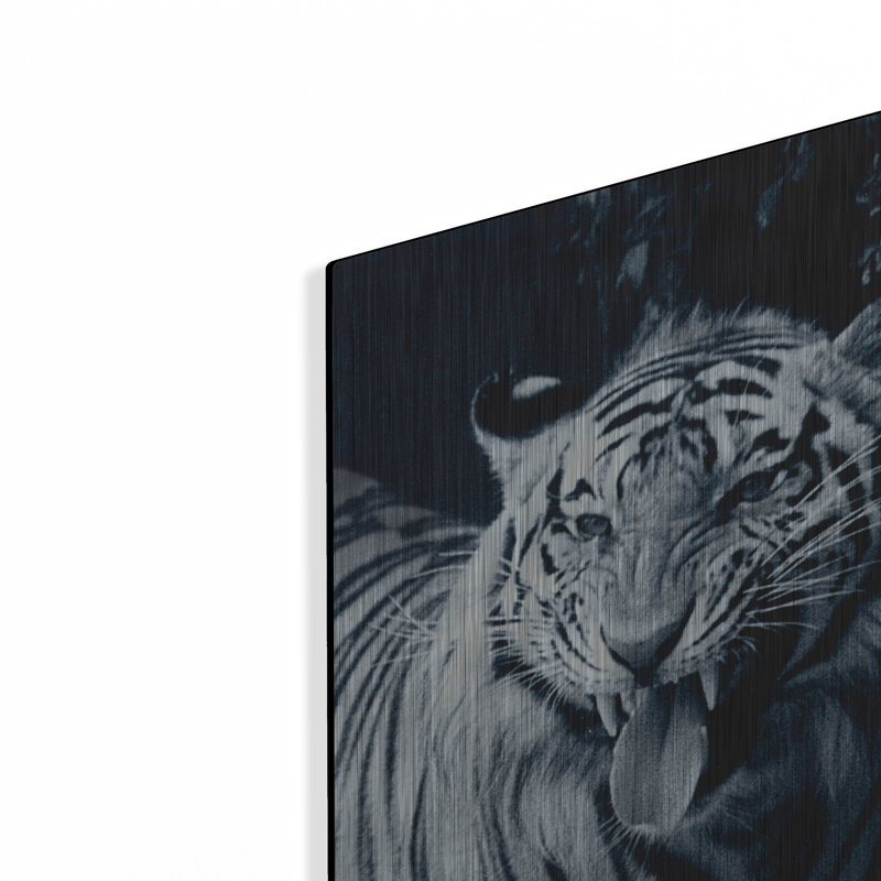 «White Tiger 2» par Gordon Semmens, H 24 po x l 16 po
