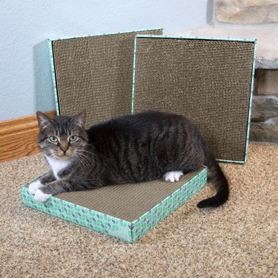 Scratching Post